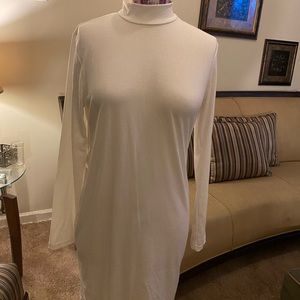 Women’s Turtle neck Dress